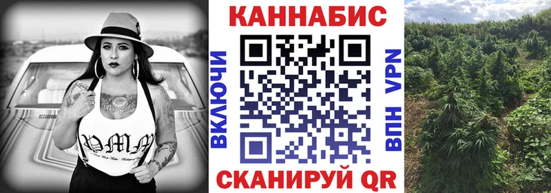ссылка на мегу сайт наркотики Наволоки Шишки марихуана сатива